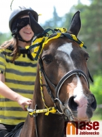 Drezurky v maskách na hudbu