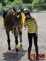 Drezurky v maskách na hudbu