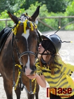 Drezurky v maskách na hudbu