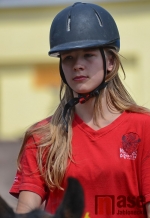 Drezurky v maskách na hudbu