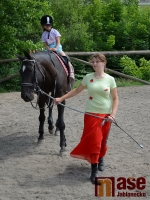 Drezurky v maskách na hudbu