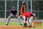 ME kadetů v baseballu 2012 - Nizozemsko vs. Rusko