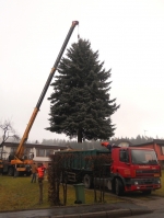 Vánoční strom na Mírovém náměstí v Jablonci nad Nisou