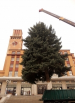 Vánoční strom na Mírovém náměstí v Jablonci nad Nisou