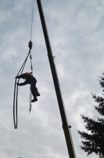 Vánoční strom na Mírovém náměstí v Jablonci nad Nisou