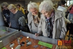Zahájení výstavy Šikovné ruce našich dědečků a babiček