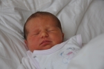 Nově narozená miminka od 19. ledna do 26. ledna
