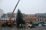 Stavění vánočního stromu číslo 2 na jabloneckém náměstí