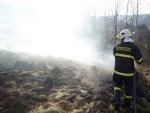 Hasiči zasahovali při požáru travního porostu v Líšném