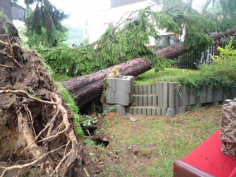 Spadlé stromy a další následky bouřky s krupobitím v Desné<br />Autor: HZS Libereckého kraje, stanice Tanvald