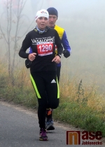 Janovských 11 a 19 km 2014