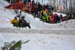 Lety na saních v Plavech 2015
