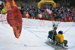 Lety na saních v Plavech 2015