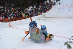 Lety na saních v Plavech 2015