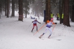 Český pohár v běhu na lyžích staršího žactva na Božím Daru