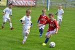 Turnaj mladých fotbalistů Zásada cup 2015