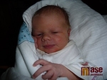 Dianka Budinová přišla na svět 15. února 2011. Šťastnou maminkou je Iva Pochová.