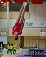 43.ročník MZP ve skocích na trampolíně