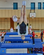 43.ročník MZP ve skocích na trampolíně