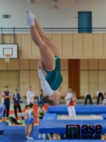 43.ročník MZP ve skocích na trampolíně
