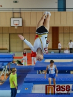 43.ročník MZP ve skocích na trampolíně