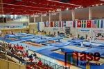 43.ročník MZP ve skocích na trampolíně