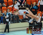 43.ročník MZP ve skocích na trampolíně