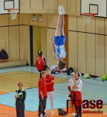 43.ročník MZP ve skocích na trampolíně