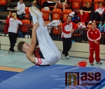 43.ročník MZP ve skocích na trampolíně