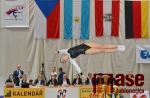 43.ročník MZP ve skocích na trampolíně