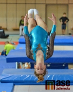 43.ročník MZP ve skocích na trampolíně
