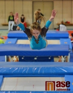 43.ročník MZP ve skocích na trampolíně