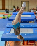 43.ročník MZP ve skocích na trampolíně