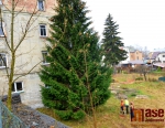 Jablonecký vánoční strom již stojí na Mírovém náměstí