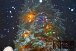 Rozsvícení vánočního stromu na Příchovicích