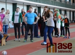 Silvestrovský desetiboj 2015