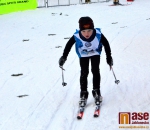 2. pohárový závod KSL Libereckého kraje v běhu na lyžích žactva
