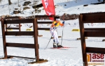 5. pohárový závod krajského svazu lyžařů v Bedřichově