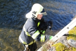 V Barvířské ulici v Liberci zachraňovali hasiči psa z koryta řeky Nisy