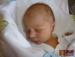 Davídek Šourek se narodil 7. března 2011 mamince Simoně Schovánkové.
