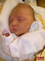 Lucinka Krajdlová se narodila 7. března 2011 mamince Libuši Dojivové.