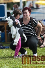 5. ročník hudebního festivalu ZasTenRock v Zásadě