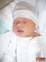Terezka Pradlerová se narodila Michaele Laštovkové 13. března 2011.