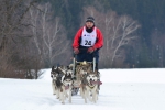 Závody psích spřežení v Zásadě 2017