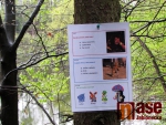 Pohádkový les v Jablonci, který pořádala Pionýrská skupina Tužiňáci