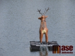 Toto není reklama na Perte s jelenem, ale předzvěst super akce a zábavy na Dobré Vodě