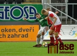 Jablonec - Slávie 1:1