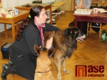 Celodenní seminář o první pomoci psům pod vedením lektorky Zuzany Wildmannové