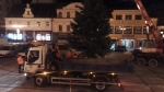 Odstrojení a rozřezání vánočního stromu v Jablonci nad Nisou ještě před vánočními slavnostmi