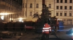 Odstrojení a rozřezání vánočního stromu v Jablonci nad Nisou ještě před vánočními slavnostmi
